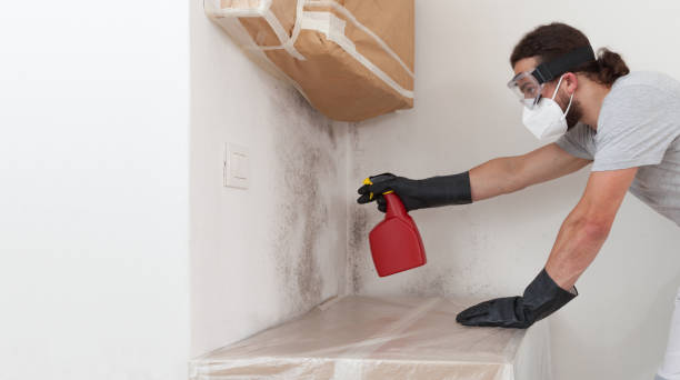 Professional Basement Mold Remediation technician working in Melville, NY